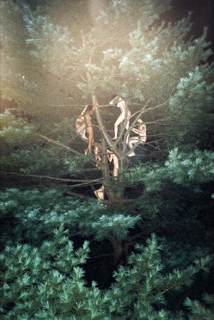 ryan-mcginley-tree-no-3-2003