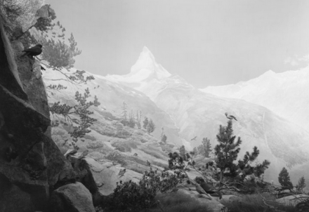 Hiroshi Sugimoto, Birds of the Alps (2012), via Pace London