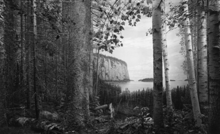 Hiroshi Sugimoto, Northern Spruce-Fir Forest (2012), via Pace London