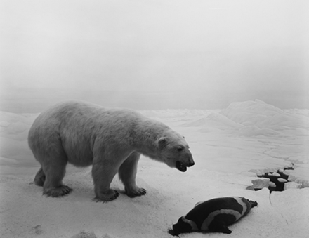 Hiroshi Sugimoto, Polar Bear (1976), via Pace London
