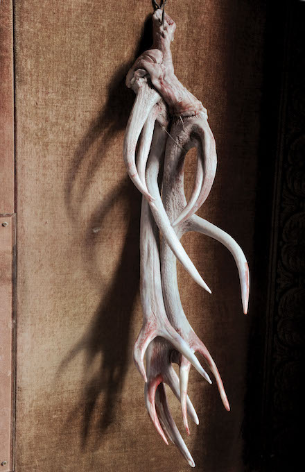 Berlinde De Bruyckere_Sculptures and Drawings_S.M.A.K._Rodt, 6 Januari IV, 2012_©MirjamDevriendt