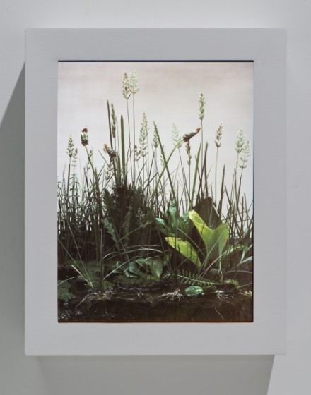 Gillian Wearing, Crowd (2012)