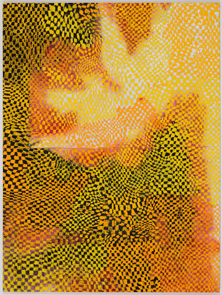 Harmony Korine, Skinamax Chex (2014)