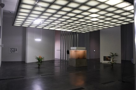 Pierre Huyghe (Installation View), Courtesy Stefanie Keenan for LACMA