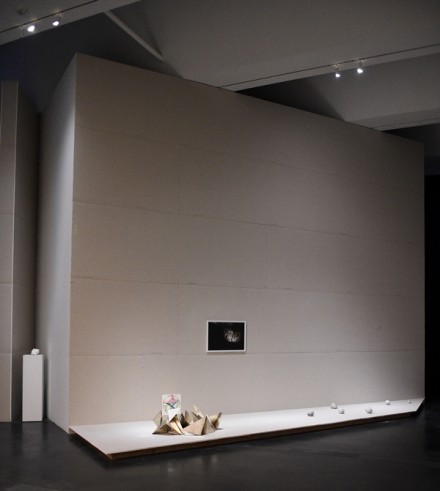 Pierre Huyghe (Installation View), Courtesy Stefanie Keenan for LACMA