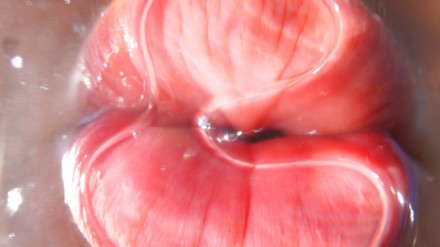 Pipilotti Rist, Mercy Garden (video still) (2013-2014)