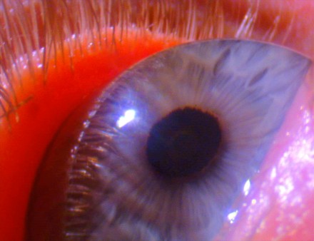 Pipilotti Rist, Worry Will Vanish Horizon (video still)  (2014), via Hauser and Wirth