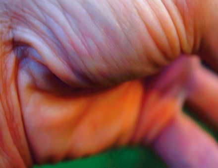 Pipilotti Rist, Worry Will Vanish Horizon (video still) (2014)