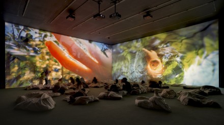 Pipilotti Rist, Worry Will Vanish (Installation View) (2014)