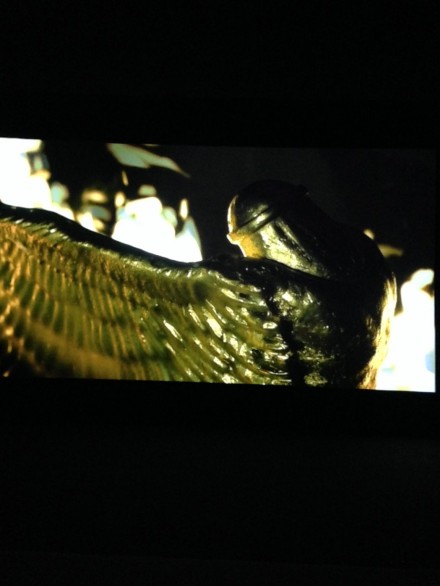 Yael Bartana, Inferno, 2013