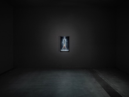 Bill Viola, Transformation (Installation View)