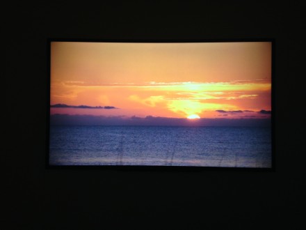 Charles Atlas, Terri's Option (2015)