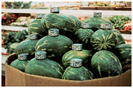Gabriel Orozco, Cats and Watermelons (1992), all images courtesy MoCA Tokyo