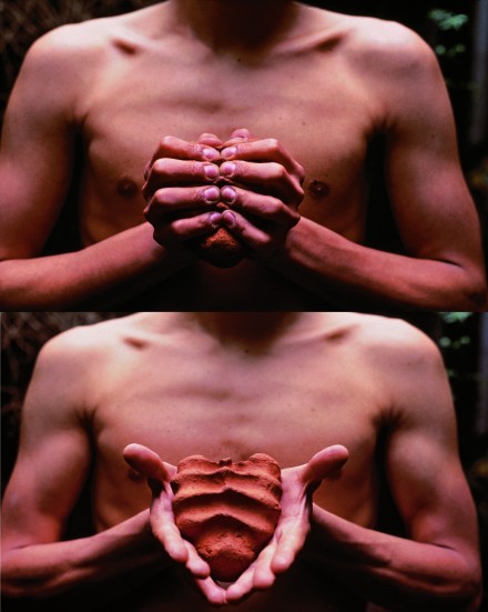 Gabriel Orozco, My Hands Are My Heart (1991)