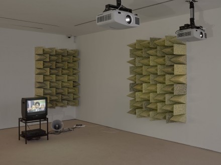 Mirza-CrossSection-Lisson