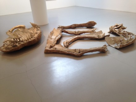 Nancy Graves, Inside-Outside (1970)