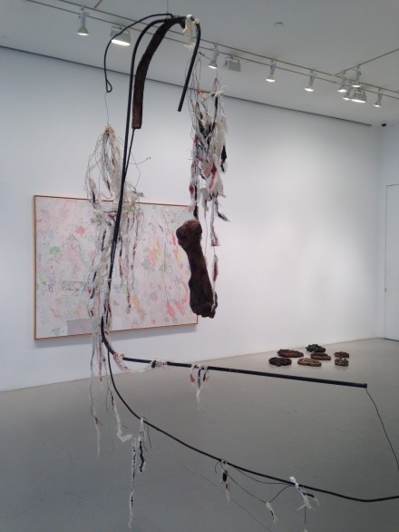Nancy Graves (Installation View)