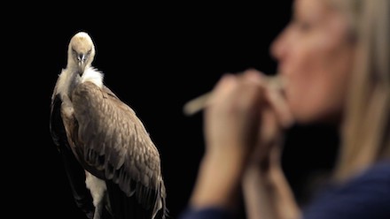 allora & calzadilla_Philadelphia Museum of Art_Intervals