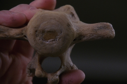 allora & calzadilla_Philadelphia Museum of Art_Intervals_still from Apotomē, 2013-2