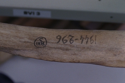 allora & calzadilla_Philadelphia Museum of Art_Intervals_still from Apotomē, 2013