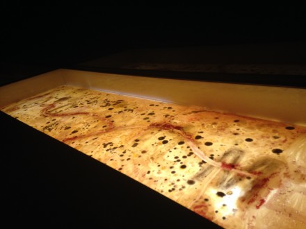 Anicka Yi, You Can Call Me F (Installation View), via Art Observed