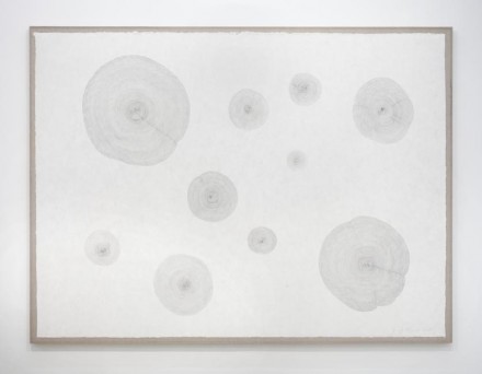 Giuseppe Penone, Ten Propagations August - 2011 (2011), via Marian Goodman