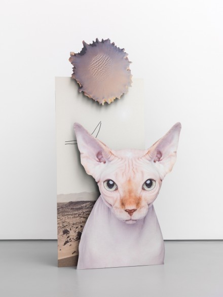 Katja Novitskova, Mars Potential (cat) (2015), via Max Hetzler
