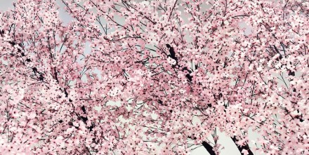 Thomas Demand, Bloom (2014), via Matthew Marks