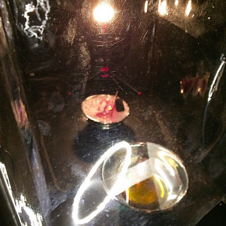 Anicka Yi, You Can Call Me F (Installation View), via Art Observed