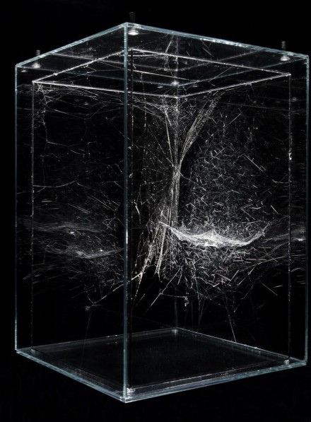 Tomás Saraceno, Hybrid solitary semi-social musical instrument Horologium: built by Argiope anasuja - one month - and a small community of Cyrtophora citricola - two weeks (2014)