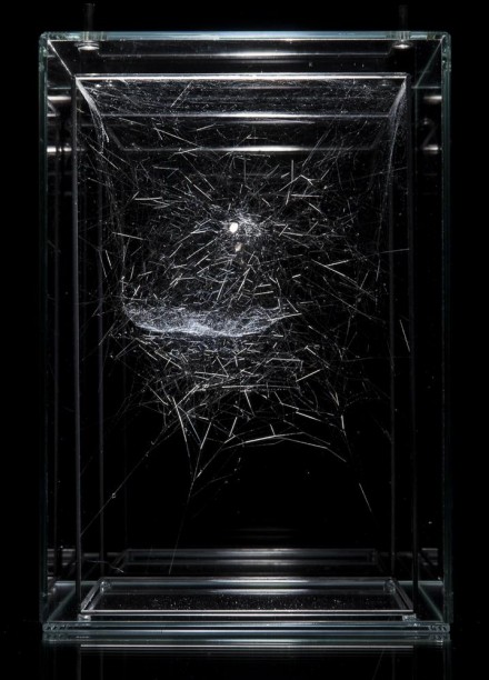 Tomás Saraceno, Hybrid solitary semi-social musical instrument Ophiuchus: built by Parasteatoda lunata - two weeks - and a Cyrtophora citricola - two weeks (2015)