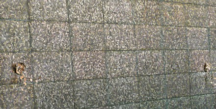 9187176324_573d4e0f86_b