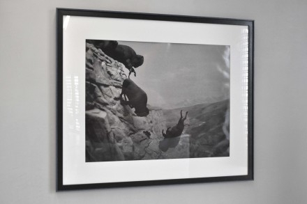 DavidWojnarowicz-Untitled (Buffalos)-1988-89_Puntadelladogana_SK14