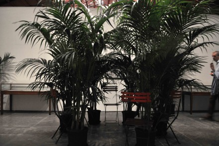 MarcelBroodthaers_Un jardin d'hiver_1974_CentralPavilionVeniceBiennale_SK_1