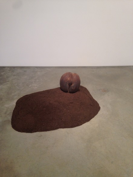 NinaBieir-MetroPictures-4