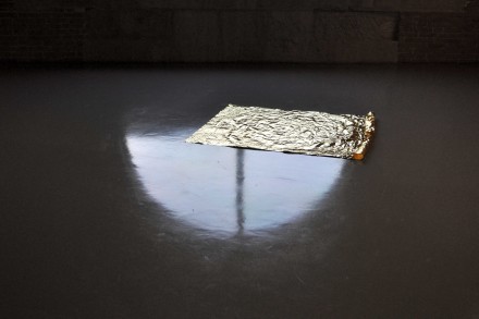 RoniHorn-GoldField-1980-82_Puntadelladogana_SK4