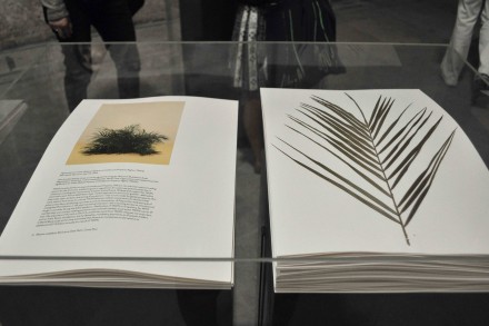 TarynSimon_Paperwork,andtheWillofCapital_2015_ArsenaleVeniceBiennale_SK_2