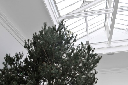 celesteboursiermougenot_frenchpavilion_sk4