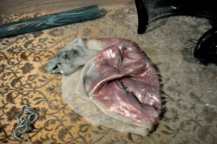 jimmiedurham_venicebiennale_sk11