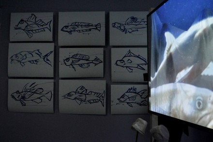 joanjonas_americanpavilion_sk5