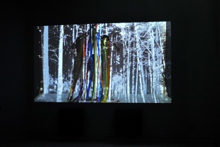 joanjonas_americanpavilion_sk8