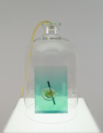 Anicka Yi, Best Friend's Arm (2015), via 47 Canal