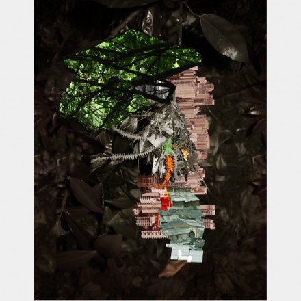 Caio-Reisewitz-Luciana-Brito-Galeria