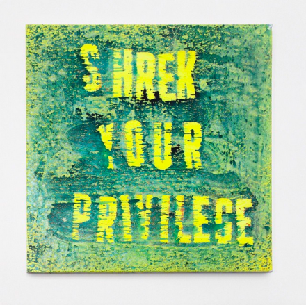Mark Flood, Shrek Your Privilege (2015), via Art Observed