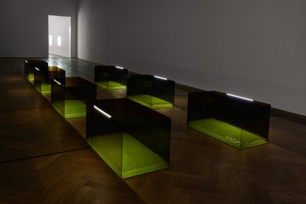 Anicka Yi, 7,070,430K of Digital Spit (Installation View), via Kunsthalle Basel