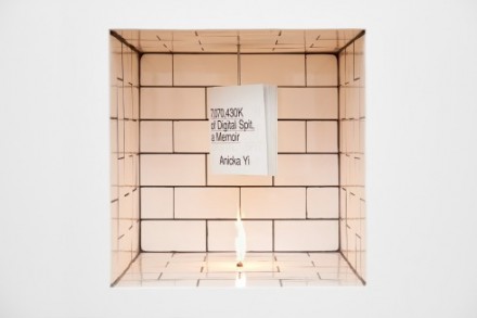 Anicka Yi, Odor in the Court (2015), via Kunsthalle Basel