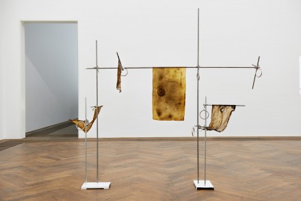 Anicka Yi, Of All Things Orange or Macedonian Wine (2015) via Kunsthalle Basel