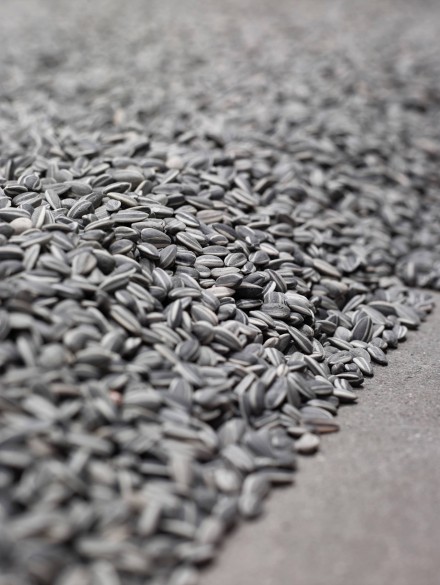 Ai Weiwei, Sunflower Seeds (15 tons) (2010), via Faurschou Foundation Copenhagen