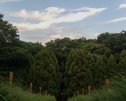 Watermill Center Benefit & Auction, via ArtObserved