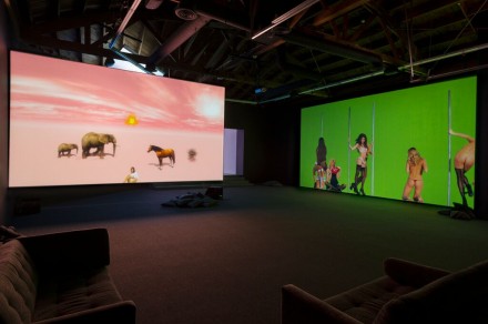 Petra Cortright 'Niki Lucy Lola Viola' (Installation View)